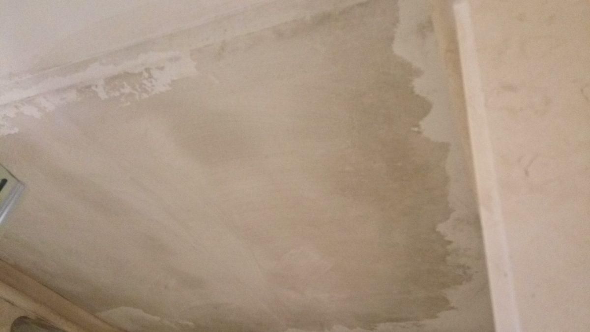 Як позбутися цвілі і грибка в квартирі: лайфхаки Як позбутися цвілі і грибка в квартирі: лайфхаки