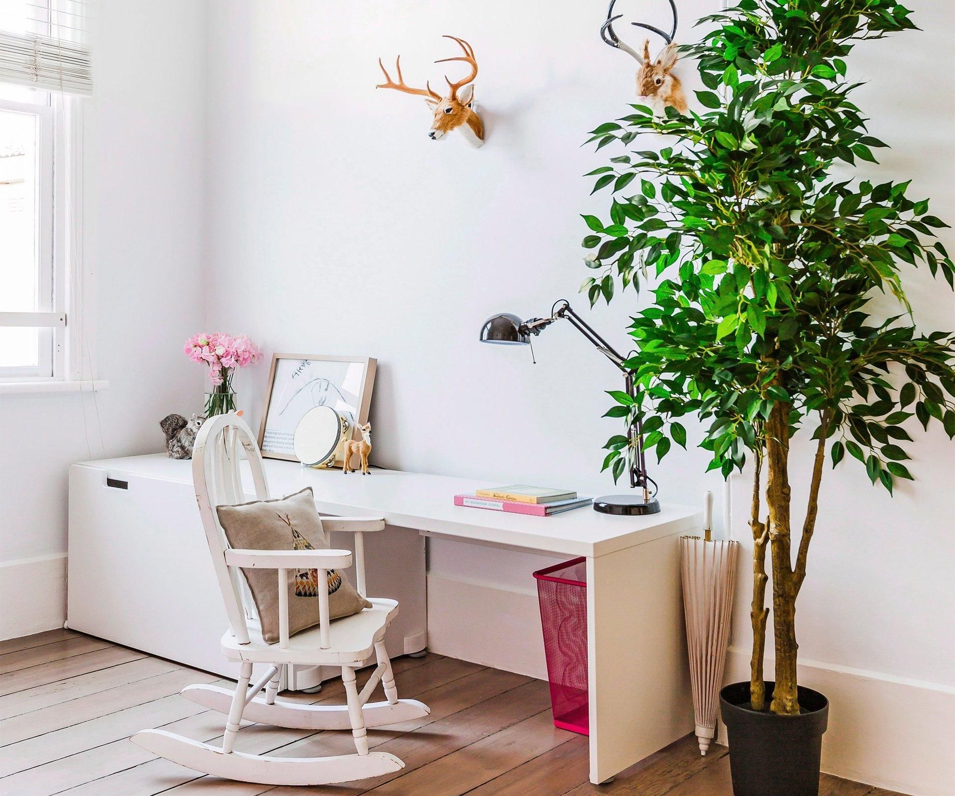 Кімнатні рослини в інтер'єрі квартир: 4 причини, чому вони потрібні