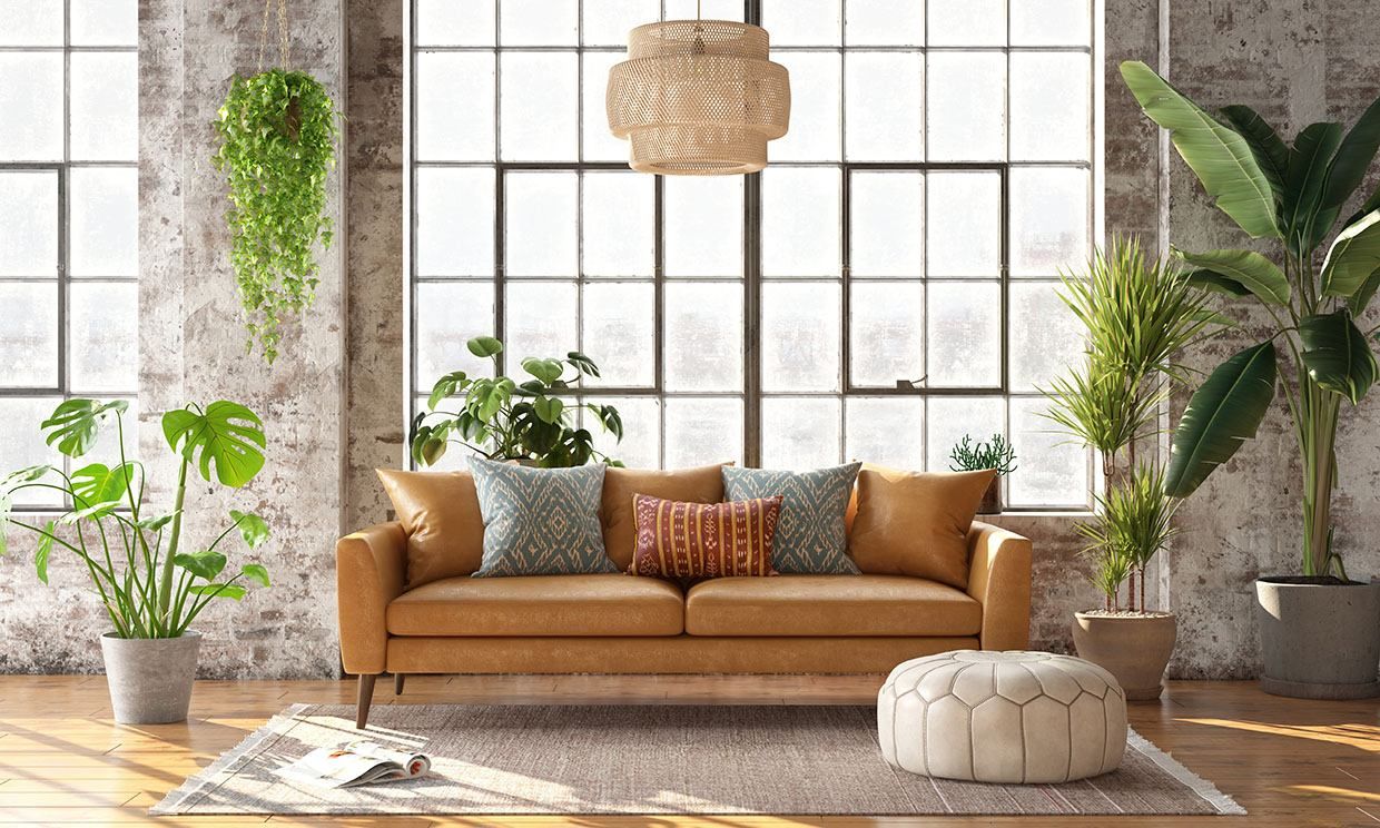 Идеальные растения для темной комнаты: ТОП-3 Идеальные растения для темной комнаты: ТОП-3