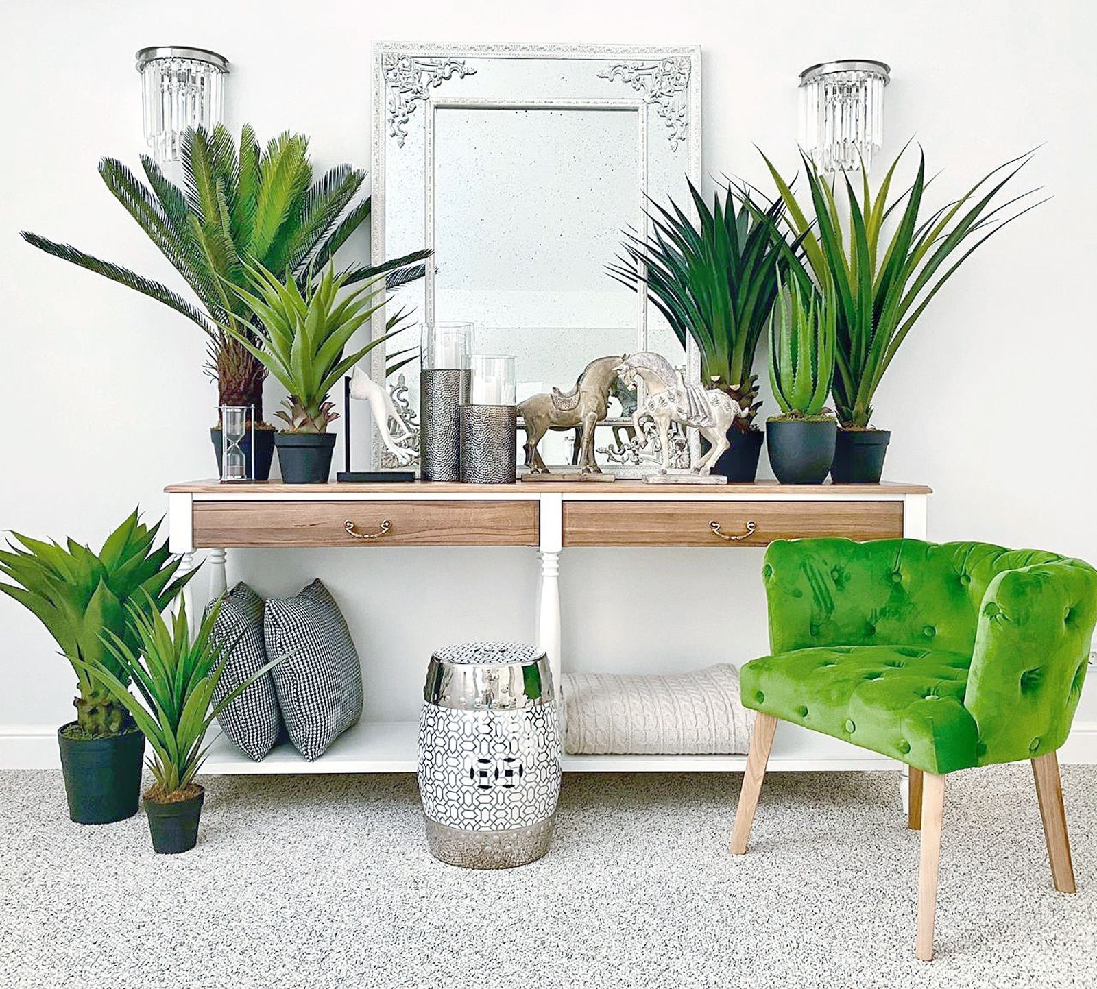 4 идеальных растения для кухни: названия, особенности и фото 4 идеальных растения для кухни: названия, особенности и фото