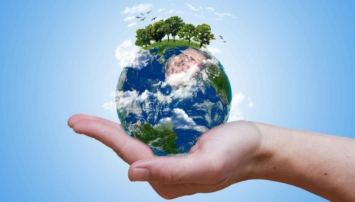 Kolorit зробив внесок у велике еко майбутнє людства: як це було Kolorit зробив внесок у велике еко майбутнє людства: як це було