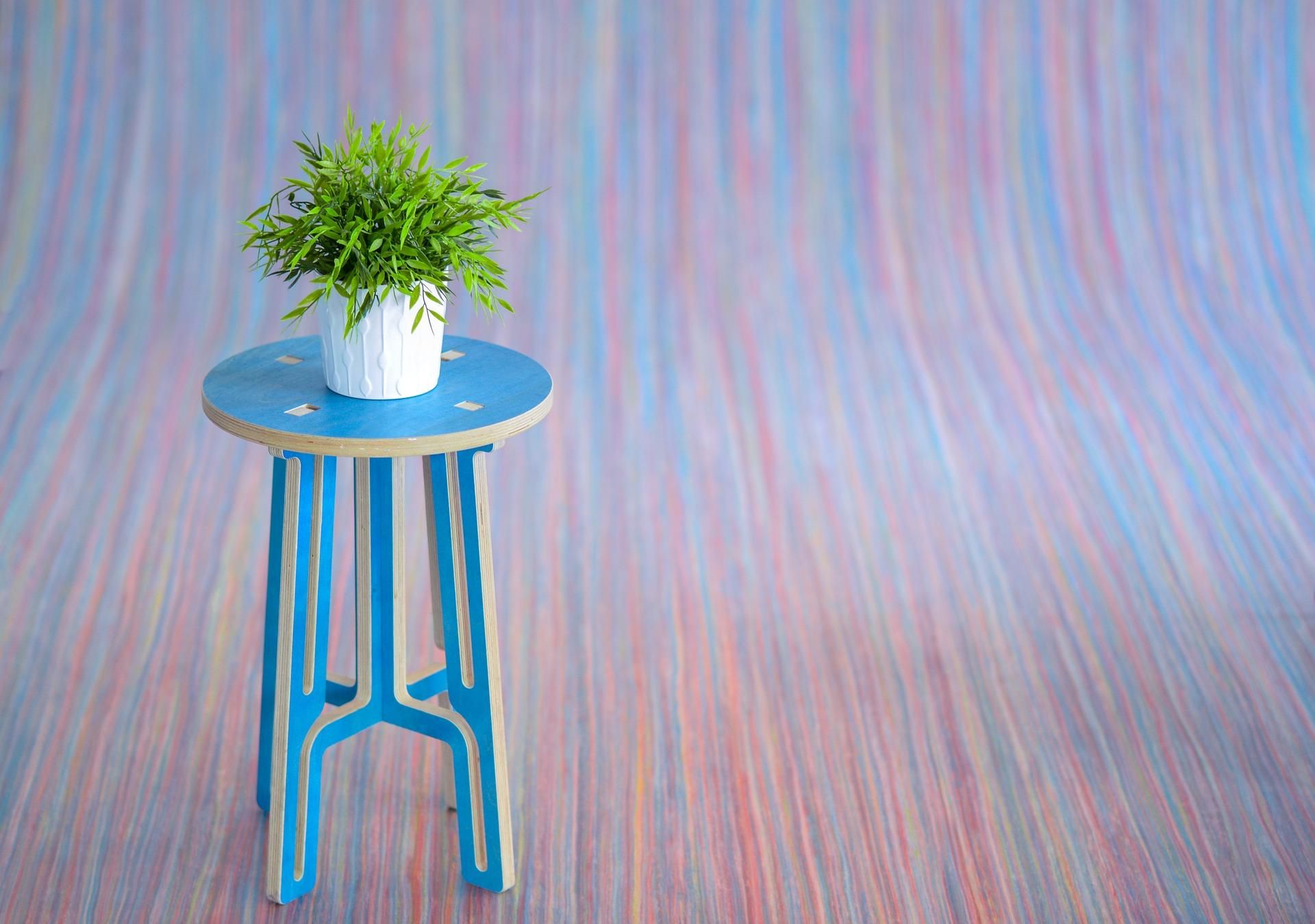 Красиві рослини вдома: які нюанси потрібно врахувати Красиві рослини вдома: які нюанси потрібно врахувати