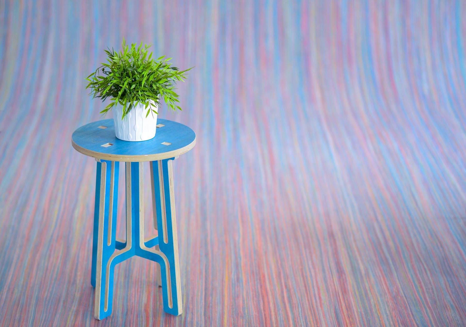 Красивые растения дома: какие нюансы нужно учесть Красивые растения дома: какие нюансы нужно учесть