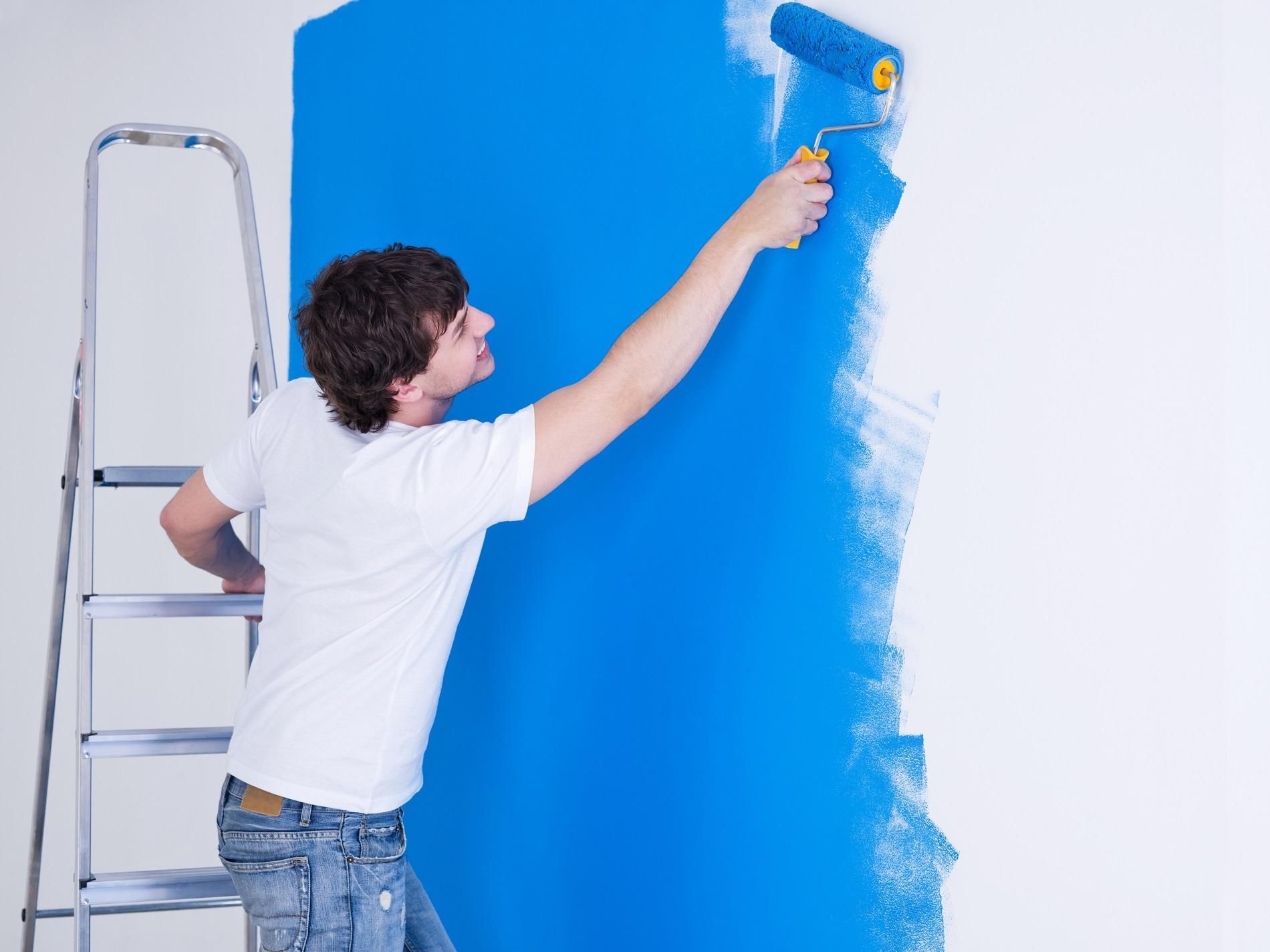 Как выбрать краску для квартиры и дома: факты от дизайнера интерьера