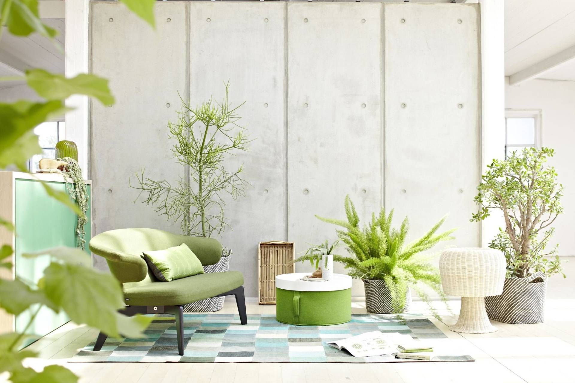 Как дешево и быстро освежить интерьер: дизайнер назвала способ Как дешево и быстро освежить интерьер: дизайнер назвала способ