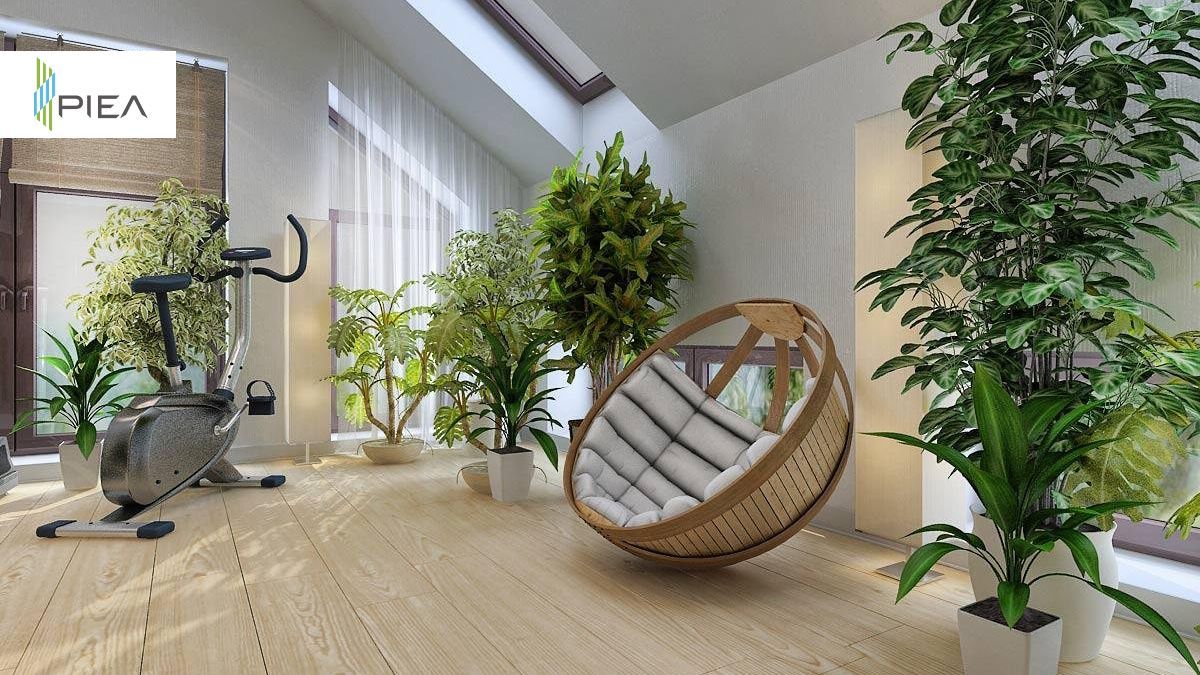 Які квіти можна вирощувати у квартирі з дітьми і тваринами: 3 ідеї Які квіти можна вирощувати у квартирі з дітьми і тваринами: 3 ідеї