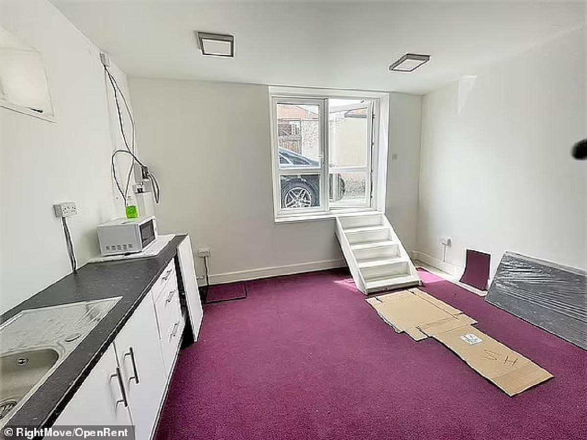 В Лондоне сдают квартиру со входом через окно: как она выглядит