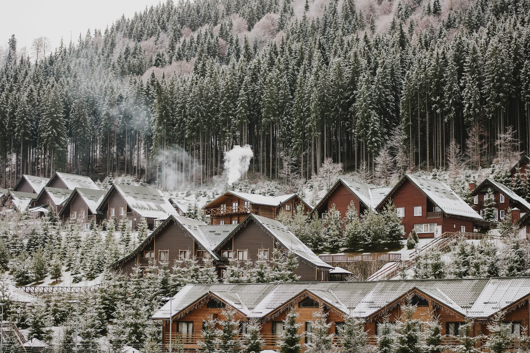 Аренда квартиры на Новый год: в каком городе Украины дешевле всего - Недвижимость Аренда квартиры на Новый год: в каком городе Украины дешевле всего - Недвижимость