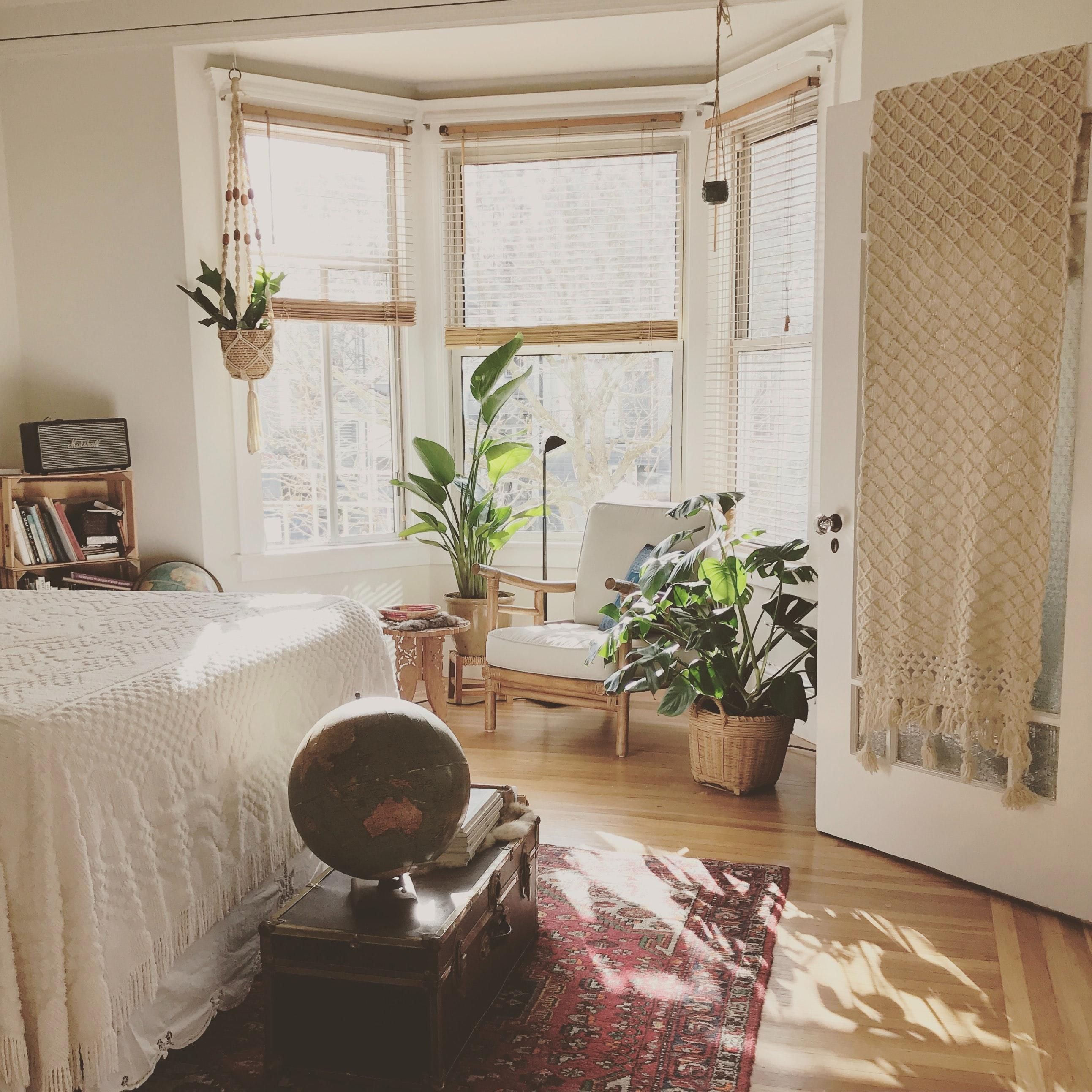 Плохой сон и самочувствие: какие растения нельзя держать в спальне - Недвижимость