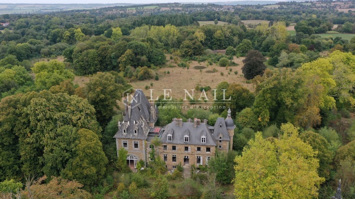 У Франції продають замок з дивовижною історією