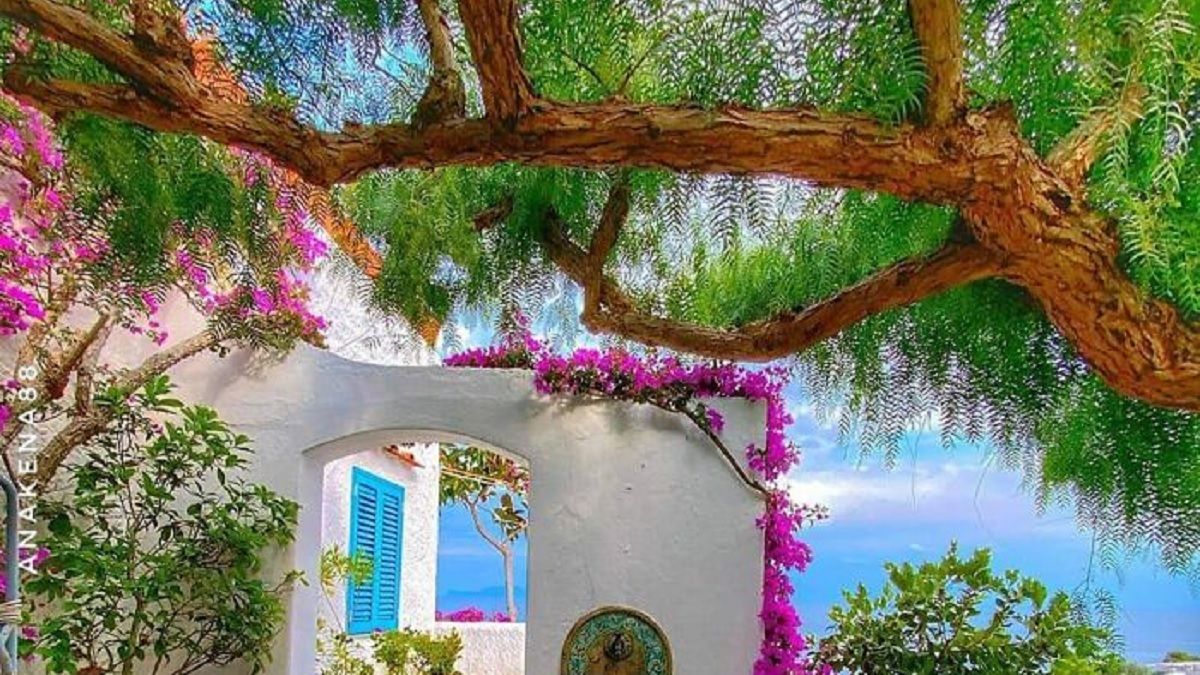 12 випадків, коли природу вдало поєднали з архітектурою 12 випадків, коли природу вдало поєднали з архітектурою