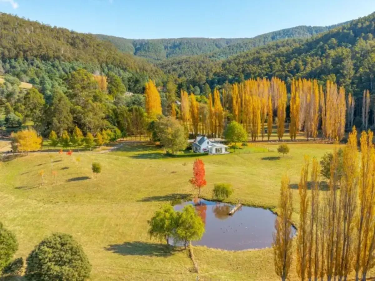 Уютный сельский дом - это жилье с территорией поражает красотой - Недвижимость Уютный сельский дом - это жилье с территорией поражает красотой - Недвижимость