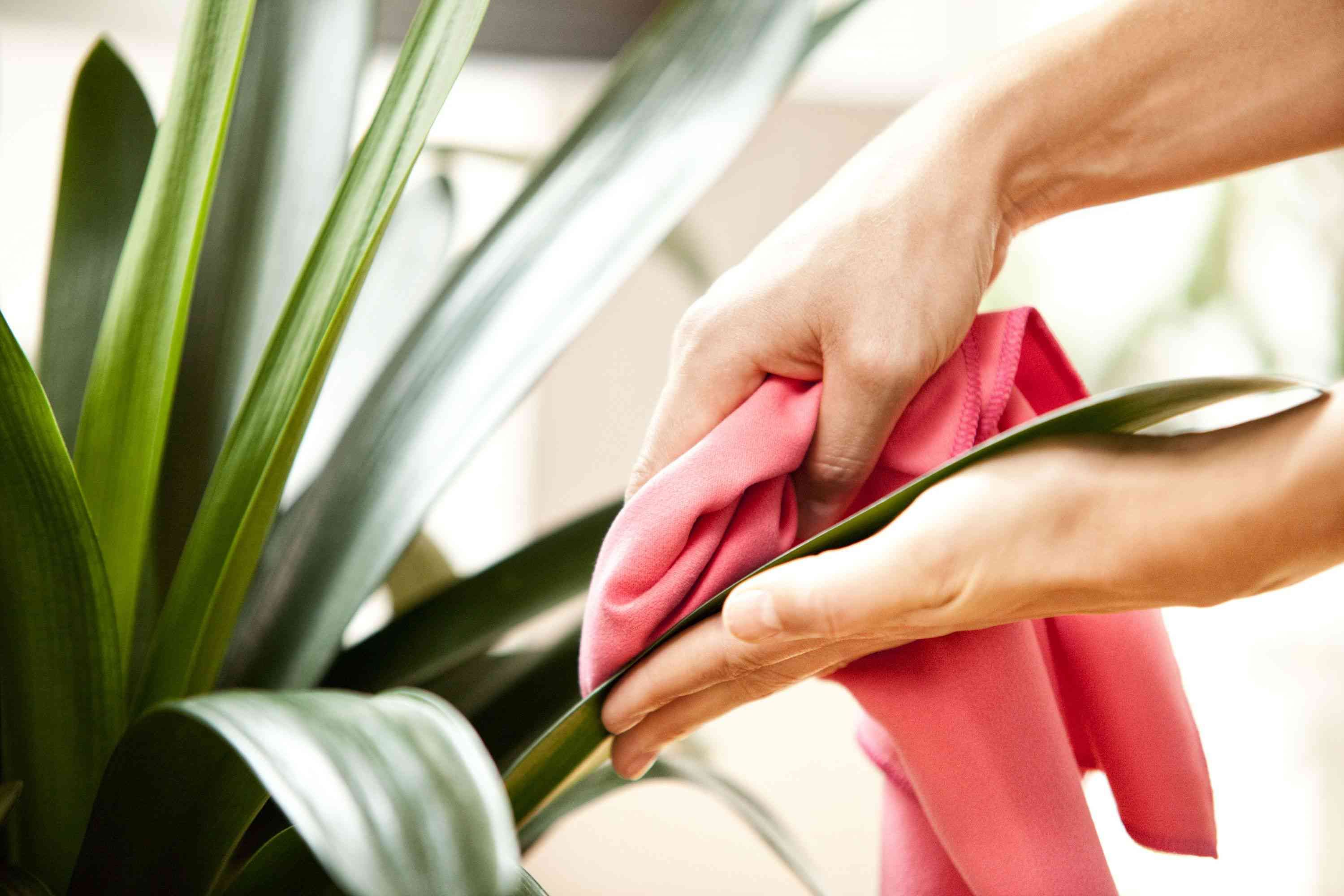 Что мы постоянно забываем убирать – три места, требующие очистки – Недвижимость Что мы постоянно забываем убирать – три места, требующие очистки – Недвижимость