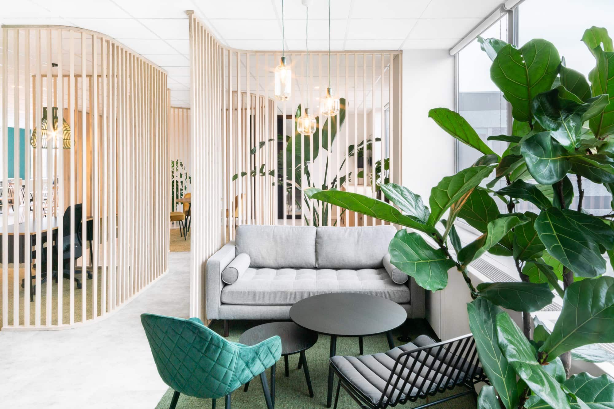 Що таке біофільний дизайн - основні риси та як використовувати в інтер'єрі - Нерухомість Що таке біофільний дизайн - основні риси та як використовувати в інтер'єрі - Нерухомість