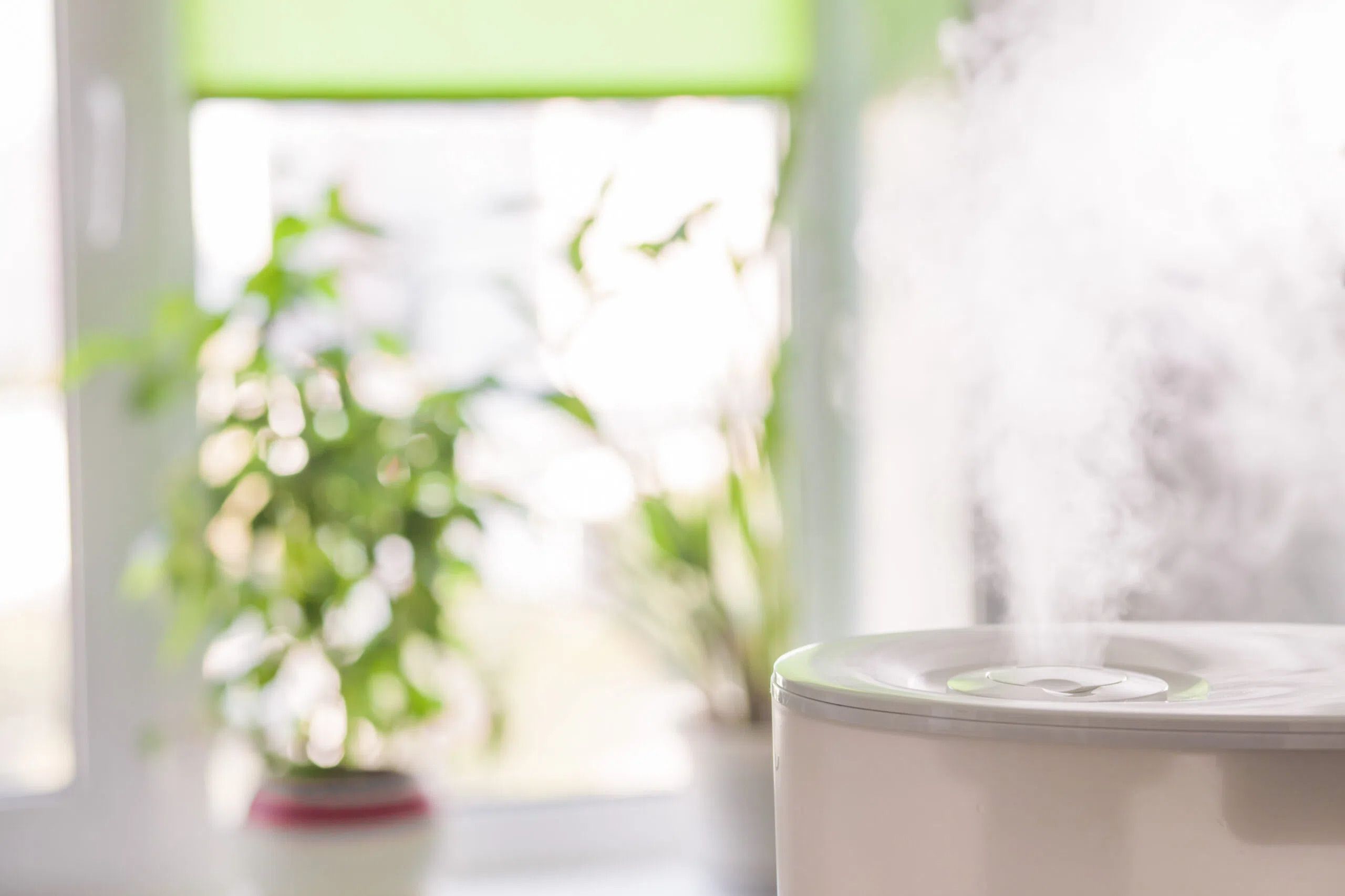 Очищувач повітря у спальні - чи допомогає він позбутися пилу - Нерухомість