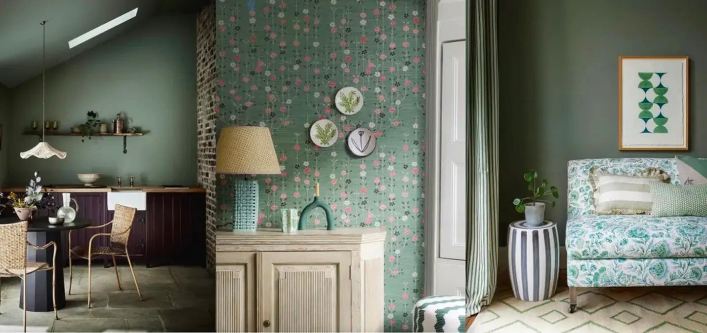 Шавлія як відтінок зеленого - з якими кольорами вона поєднується - Нерухомість Шавлія як відтінок зеленого - з якими кольорами вона поєднується - Нерухомість