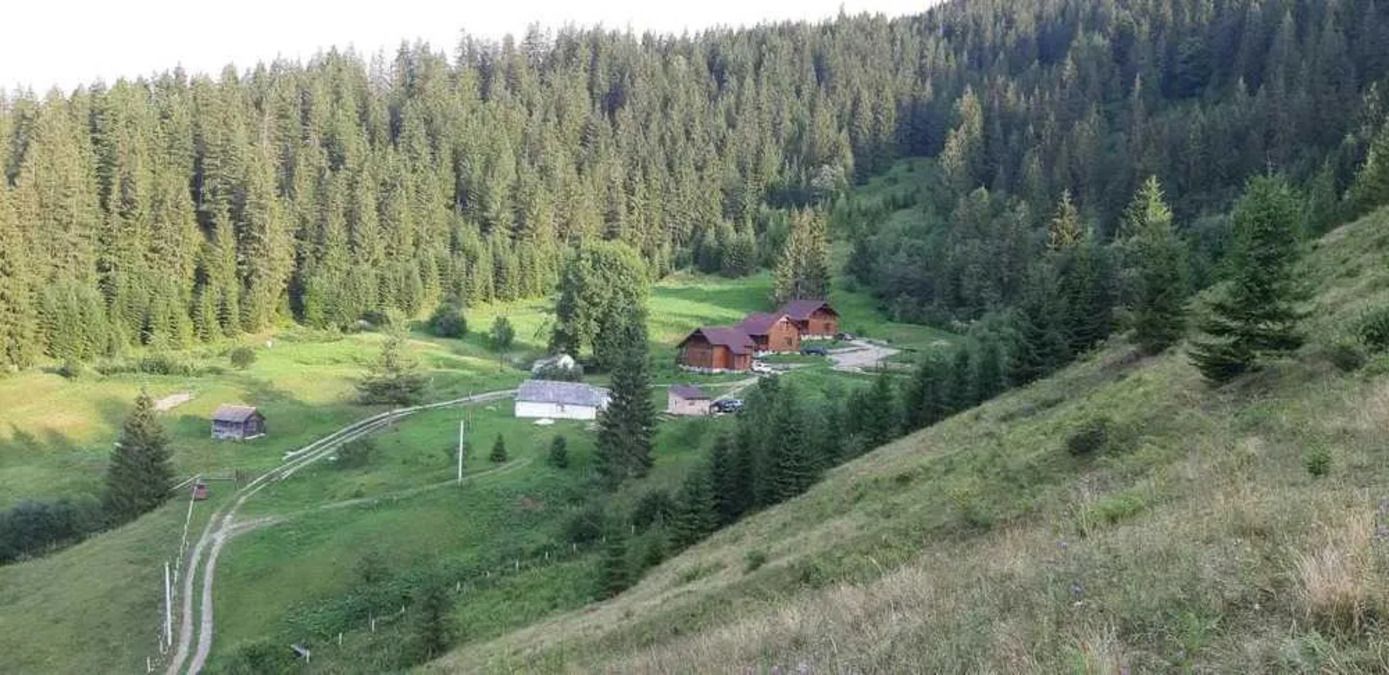 Коттедж в Карпатах - сколько стоит уютное жилье в Ворохте - Недвижимость Коттедж в Карпатах - сколько стоит уютное жилье в Ворохте - Недвижимость