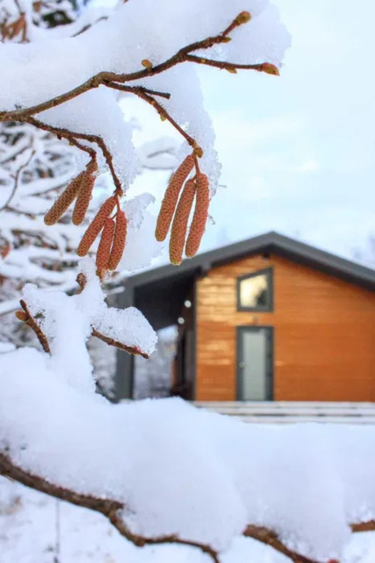Дом в Карпатах - сколько стоит современный дом на горе Погар - Недвижимость Дом в Карпатах - сколько стоит современный дом на горе Погар - Недвижимость