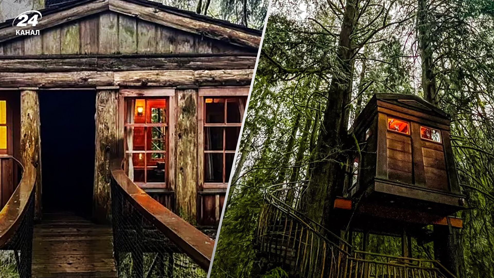 Вблизи Сиэтла в США построили отель Treehouse Point с домиками на дереве