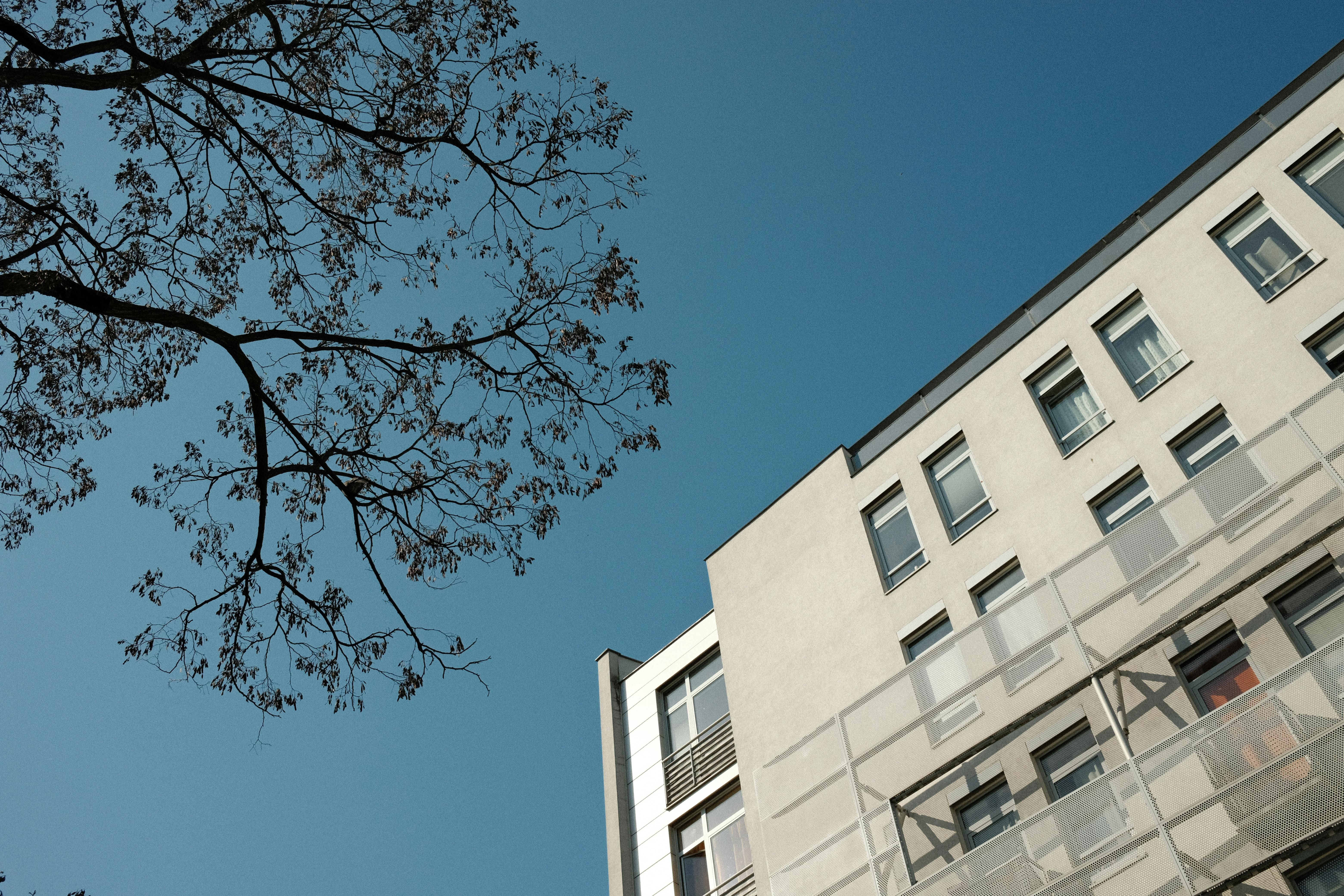 Лідери за будівництвом квартир - у яких областя будують найбільше - Нерухомість Лідери за будівництвом квартир - у яких областя будують найбільше - Нерухомість