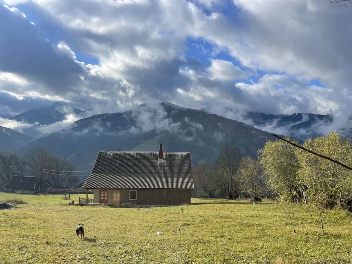 Дом на горе - за сколько можно арендовать уютное жилье на Закарпатье - Недвижимость Дом на горе - за сколько можно арендовать уютное жилье на Закарпатье - Недвижимость