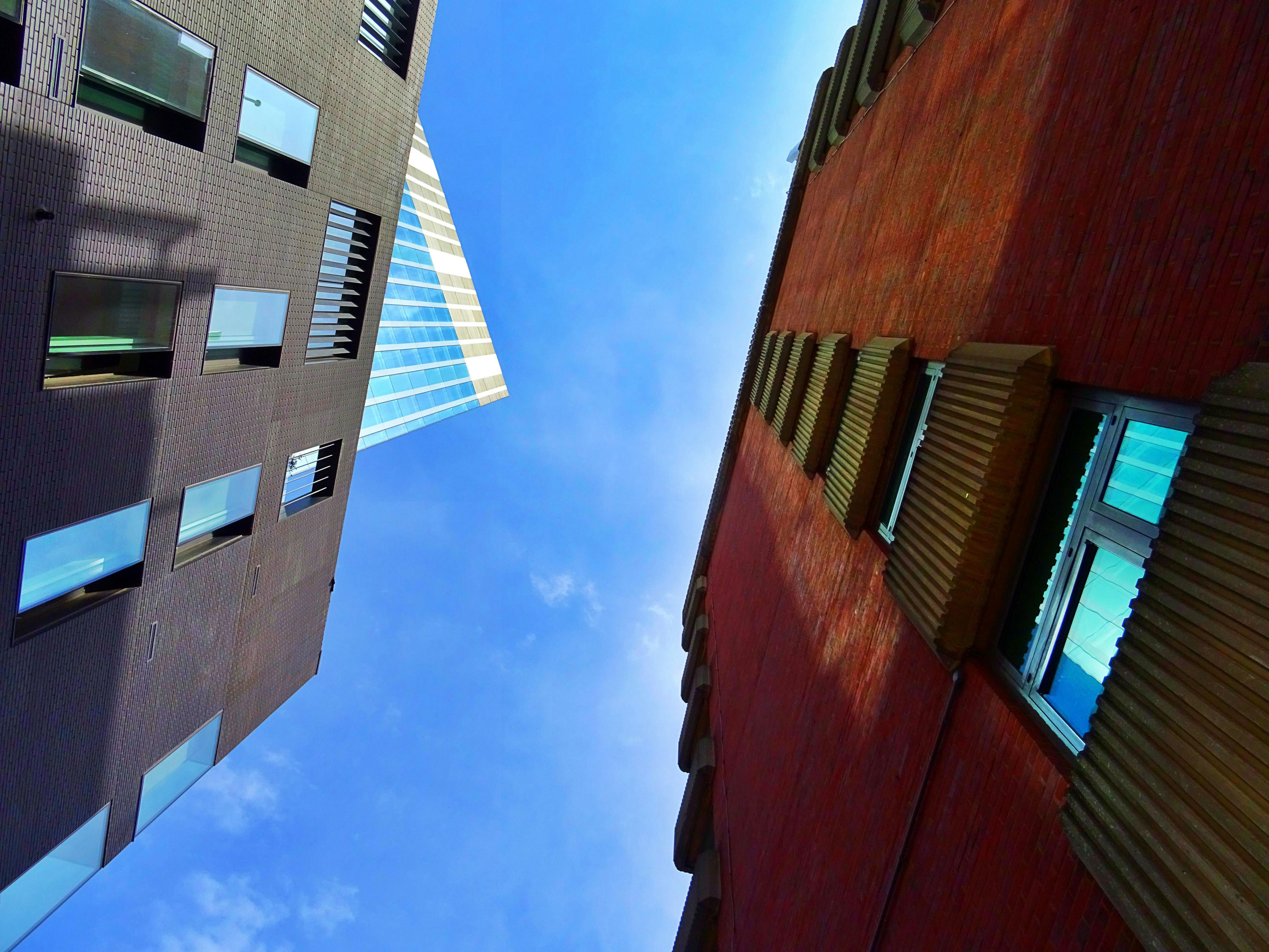 Стоимость аренды в крупных городах - как изменились цены за полгода - Недвижимость Стоимость аренды в крупных городах - как изменились цены за полгода - Недвижимость