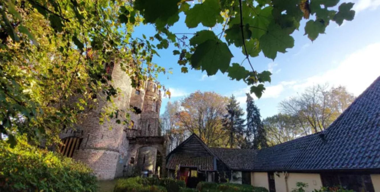 Величественный замок во дворе собственного дома - пенсионер создал чудо архитектуры - Недвижимость Величественный замок во дворе собственного дома - пенсионер создал чудо архитектуры - Недвижимость