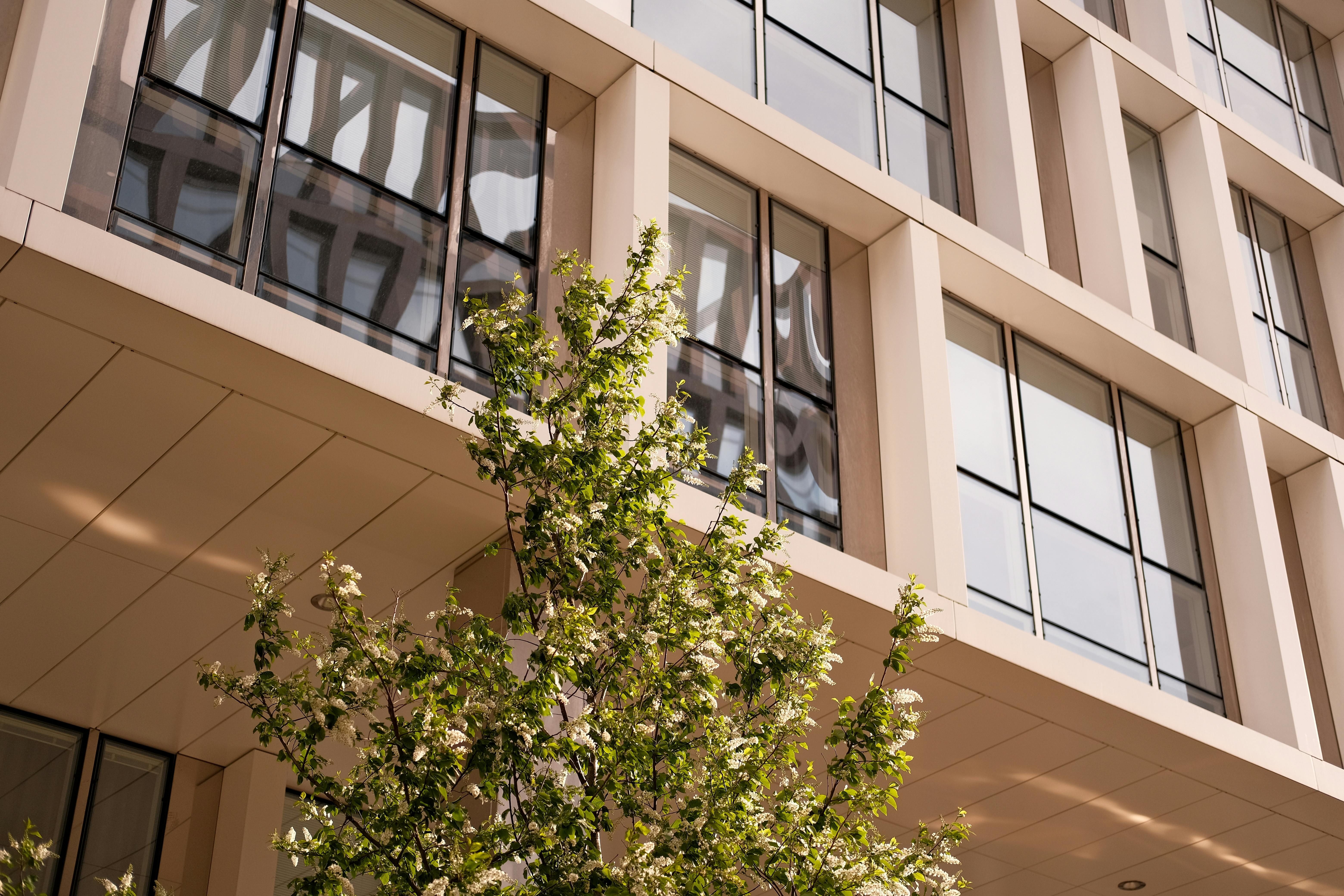 Ціни на квартири в західних містах - за скільки можна купити житло в новобудові - Нерухомість Ціни на квартири в західних містах - за скільки можна купити житло в новобудові - Нерухомість