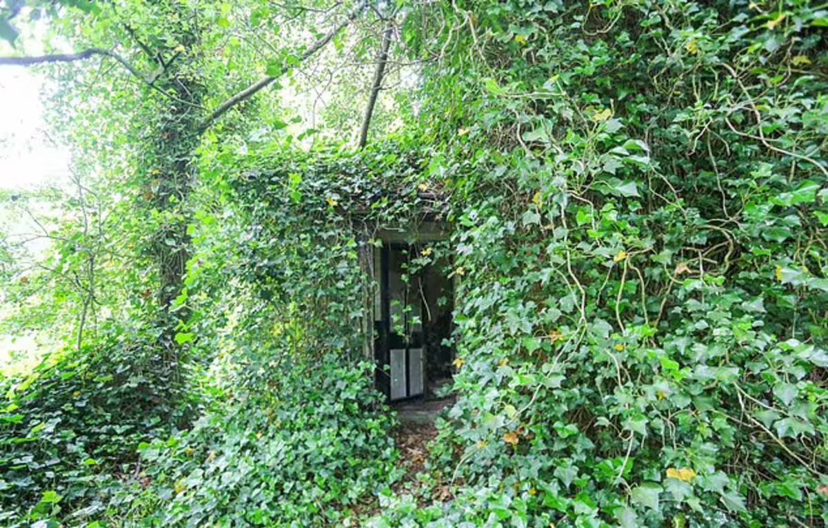 Дом, где никто не был с прошлого века - как выглядит это помещение сейчас - Недвижимость Дом, где никто не был с прошлого века - как выглядит это помещение сейчас - Недвижимость