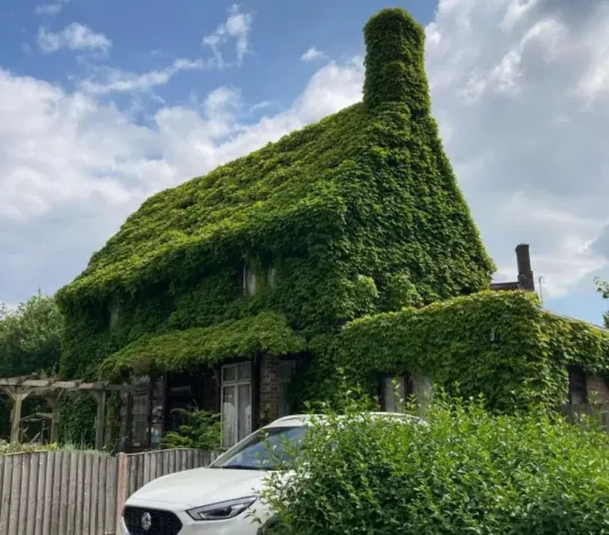 Зелений будинок у Лондоні - як виглядає житло, повністю вкрите рослиною - Нерухомість Зелений будинок у Лондоні - як виглядає житло, повністю вкрите рослиною - Нерухомість