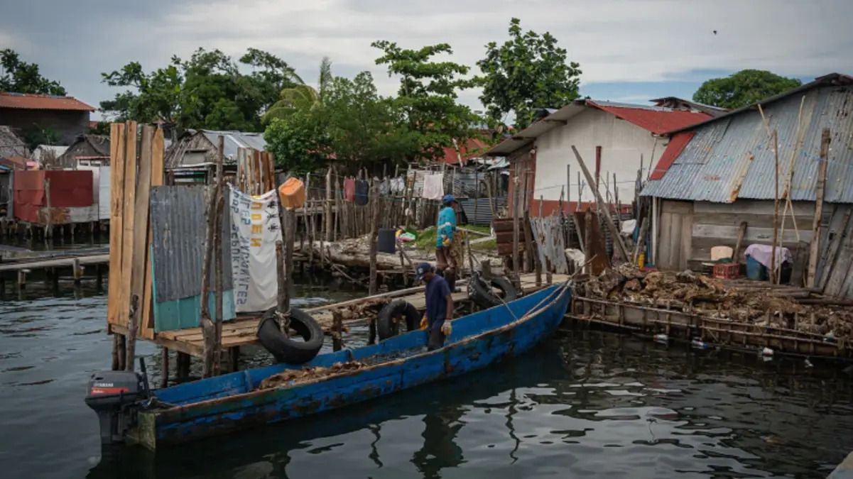 Острів може потонути - що відомо про ситуацію на Гарді Сугдубі в Карибському морі - Нерухомість