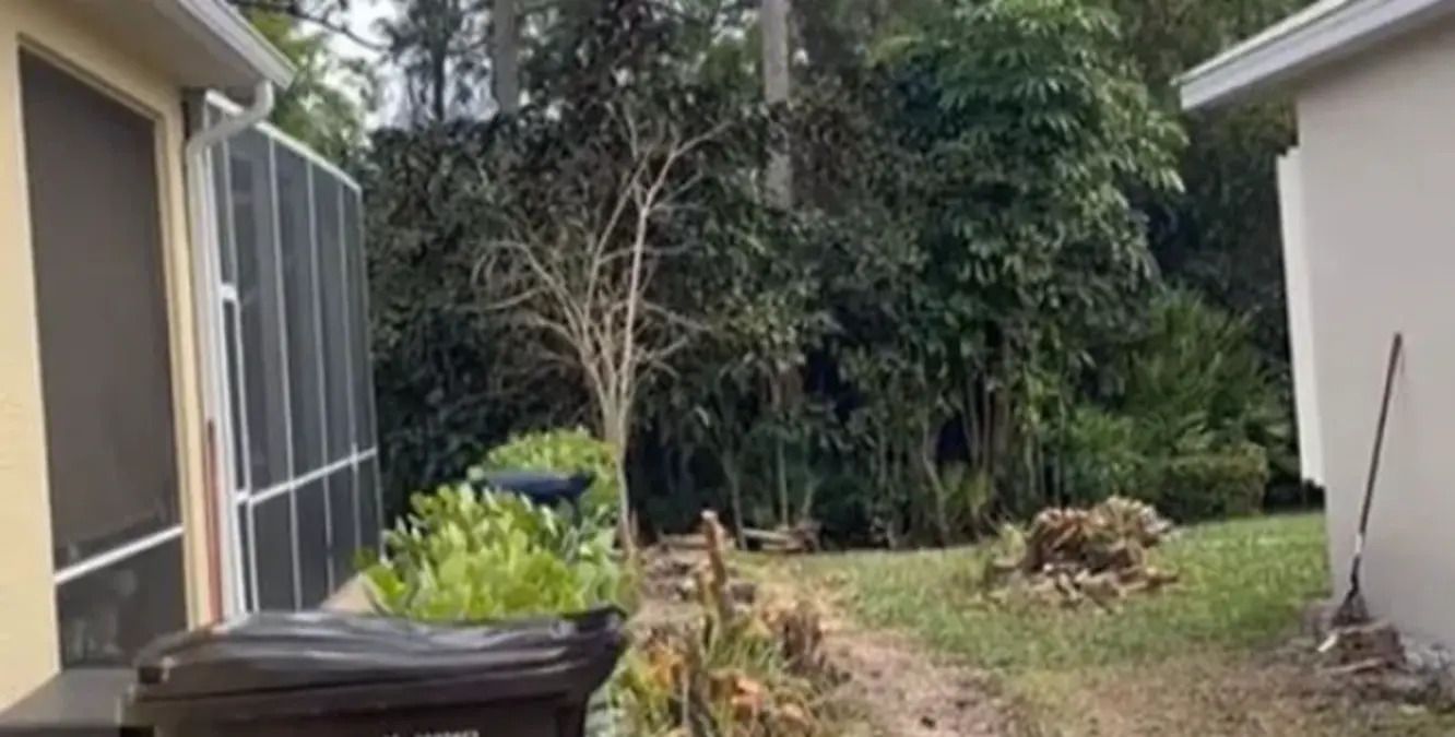 Чоловік помстився сусідові, бо той зруйнував межу між подвір'ями - відео з тіктока - Нерухомість Чоловік помстився сусідові, бо той зруйнував межу між подвір'ями - відео з тіктока - Нерухомість